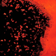 Before Mars cover detail.